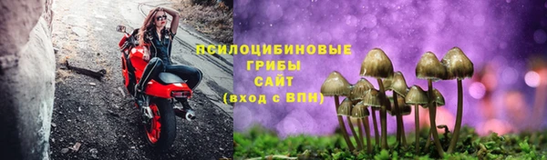 мескалин Снежногорск