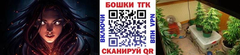 Купить  Луховицы  Бошки Шишки сатива 